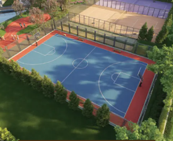 Basketball Court